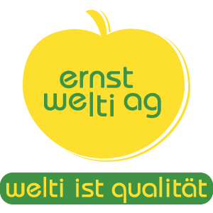 Logo Ernst Welti 2026